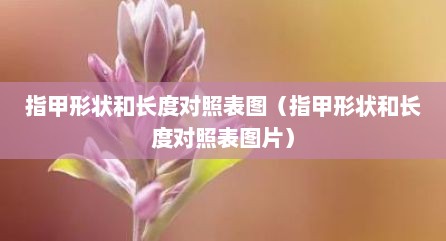 指甲形状和长度对照表图（指甲形状和长度对照表图片）