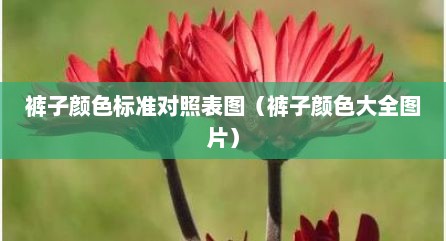 裤子颜色标准对照表图（裤子颜色大全图片）