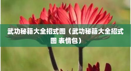 武功秘籍大全招式图（武功秘籍大全招式图 表情包）
