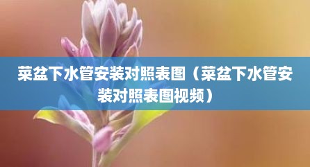 菜盆下水管安装对照表图（菜盆下水管安装对照表图视频）