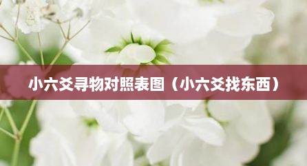 小六爻寻物对照表图（小六爻找东西）