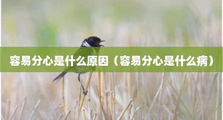 容易分心是什么原因（容易分心是什么病）