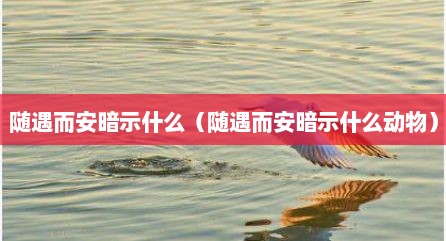 随遇而安暗示什么（随遇而安暗示什么动物）