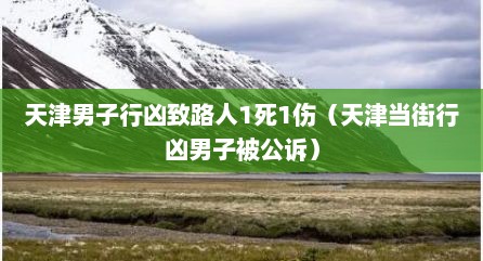 天津男子行凶致路人1死1伤（天津当街行凶男子被公诉）
