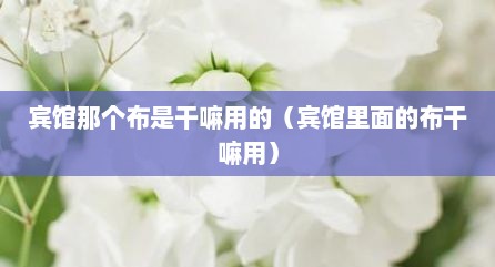 宾馆那个布是干嘛用的（宾馆里面的布干嘛用）