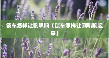 锁车怎样让喇叭响（锁车怎样让喇叭响起来）