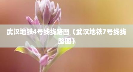 武汉地铁4号线线路图（武汉地铁7号线线路图）