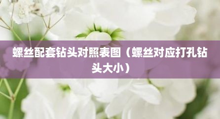 螺丝配套钻头对照表图（螺丝对应打孔钻头大小）