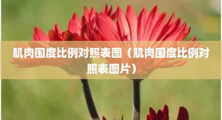 肌肉围度比例对照表图（肌肉围度比例对照表图片）