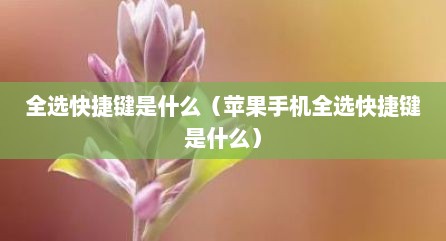 全选快捷键是什么（苹果手机全选快捷键是什么）