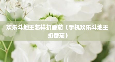欢乐斗地主怎样扔番茄（手机欢乐斗地主扔番茄）