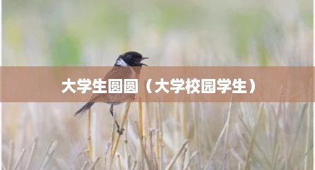 大学生圆圆（大学校园学生）
