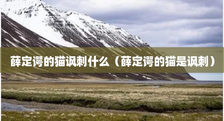 薛定谔的猫讽刺什么（薛定谔的猫是讽刺）