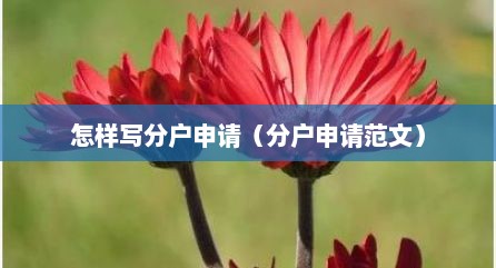 怎样写分户申请（分户申请范文）