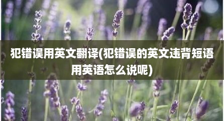 犯错误用英文翻译(犯错误的英文违背短语用英语怎么说呢)