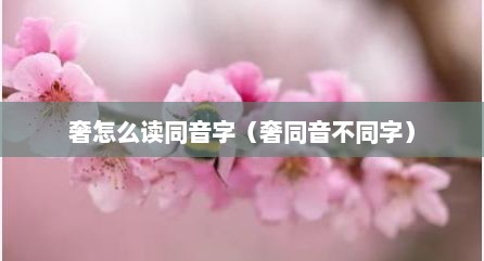 奢怎么读同音字（奢同音不同字）