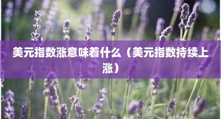 美元指数涨意味着什么（美元指数持续上涨）