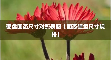 硬盘固态尺寸对照表图（固态硬盘尺寸规格）