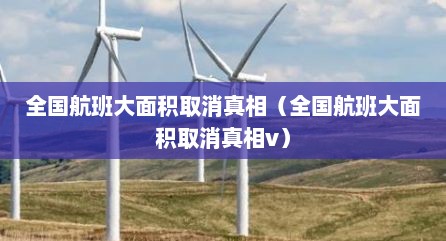 全国航班大面积取消真相（全国航班大面积取消真相v）