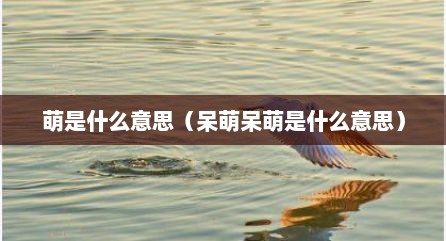 萌是什么意思（呆萌呆萌是什么意思）
