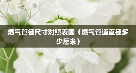 燃气管径尺寸对照表图（燃气管道直径多少厘米）