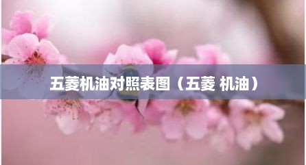 五菱机油对照表图（五菱 机油）