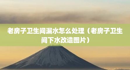 老房子卫生间漏水怎么处理（老房子卫生间下水改造图片）