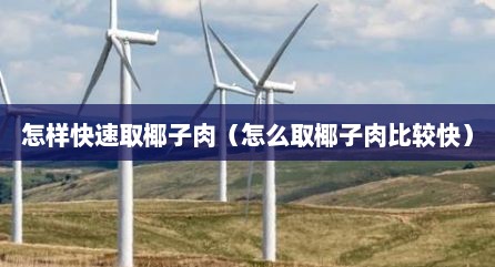 怎样快速取椰子肉（怎么取椰子肉比较快）
