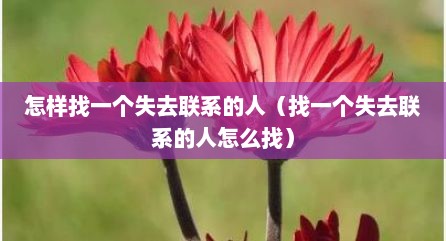 怎样找一个失去联系的人（找一个失去联系的人怎么找）