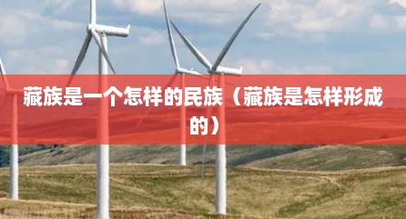 藏族是一个怎样的民族（藏族是怎样形成的）