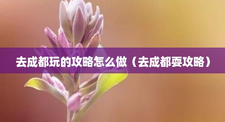 去成都玩的攻略怎么做（去成都耍攻略）
