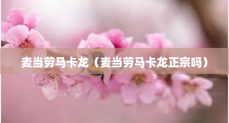 麦当劳马卡龙（麦当劳马卡龙正宗吗）