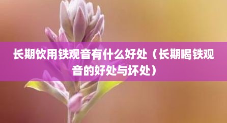 长期饮用铁观音有什么好处（长期喝铁观音的好处与坏处）