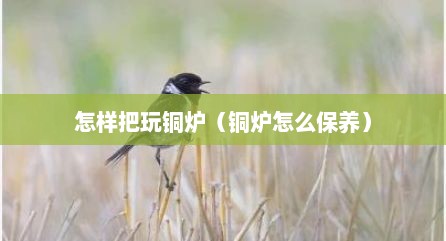 怎样把玩铜炉（铜炉怎么保养）