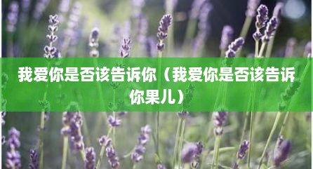 我爱你是否该告诉你（我爱你是否该告诉你果儿）
