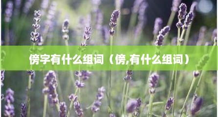 傍字有什么组词（傍,有什么组词）