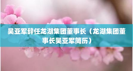 吴亚军辞任龙湖集团董事长（龙湖集团董事长吴亚军简历）