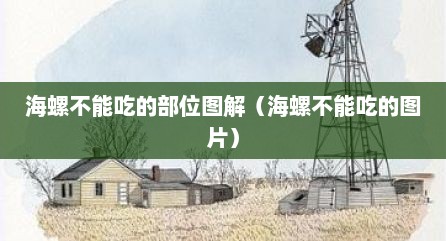 海螺不能吃的部位图解（海螺不能吃的图片）