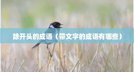 除开头的成语（带文字的成语有哪些）