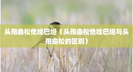 头孢曲松他唑巴坦（头孢曲松他唑巴坦与头孢曲松的区别）