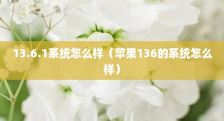 13.6.1系统怎么样（苹果136的系统怎么样）