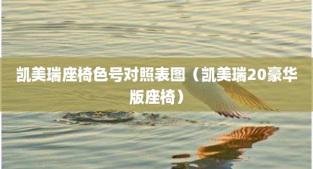 凯美瑞座椅色号对照表图（凯美瑞20豪华版座椅）