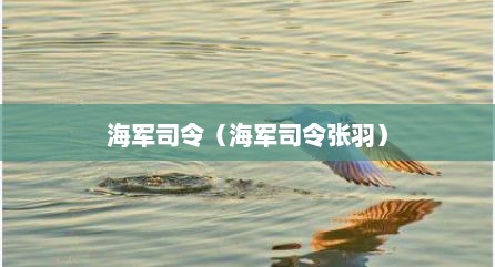 海军司令（海军司令张羽）