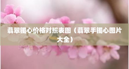 翡翠镯心价格对照表图（翡翠手镯心图片大全）