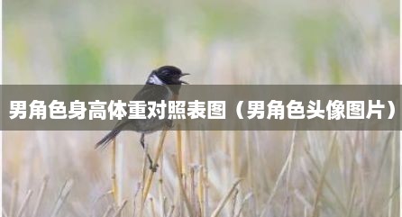 男角色身高体重对照表图（男角色头像图片）