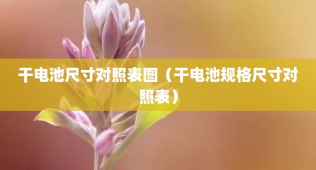 干电池尺寸对照表图（干电池规格尺寸对照表）