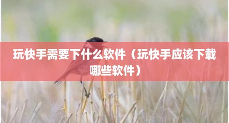 玩快手需要下什么软件（玩快手应该下载哪些软件）