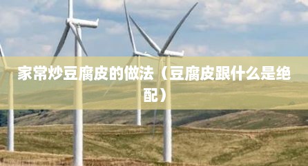 家常炒豆腐皮的做法（豆腐皮跟什么是绝配）