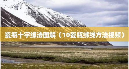 瓷瓶十字绑法图解（10瓷瓶绑线方法视频）