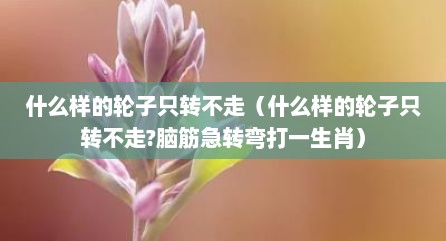 什么样的轮子只转不走（什么样的轮子只转不走?脑筋急转弯打一生肖）